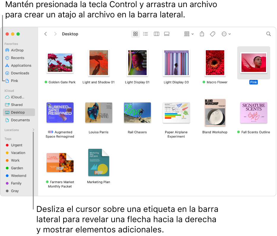 Del lado derecho de Ubicaciones en la barra lateral del Finder hay una flecha para hacer clic y mostrar elementos adicionales. En la ventana derecha del Finder, se selecciona un archivo y hay un atajo al archivo en la barra latera, debajo de Favoritos.