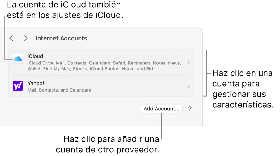 Ajustes de las cuentas de internet con una lista de las cuentas que se hayan configurado en el Mac.