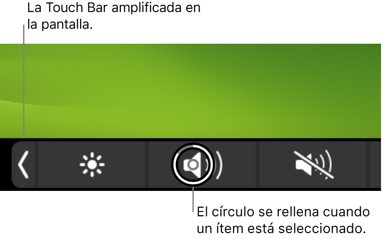 La Touch Bar con aumento de zoom en la parte inferior de la pantalla; el círculo que rodea a un botón se rellena cuando se selecciona el botón.