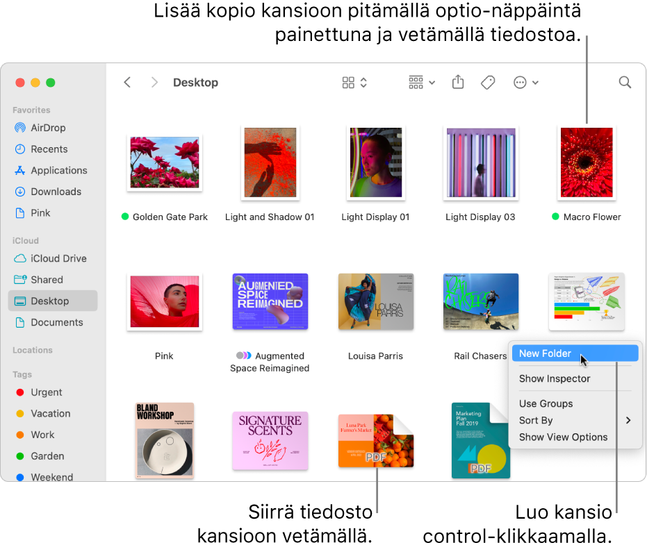 Finder-ikkuna, jossa on tiedostoja ja kansioita. Oikotievalikossa on korostettuna Uusi kansio.