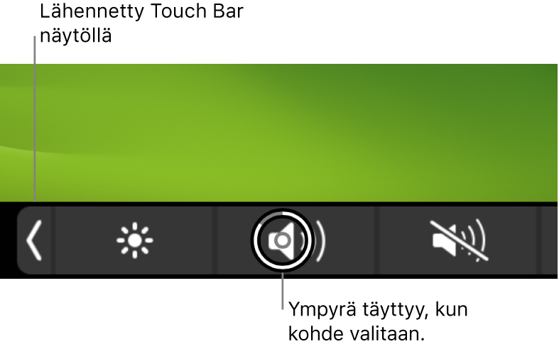 Lähennetty Touch Bar näytön alareunassa. Painikkeen ympärille tulee täysi ympyrä, kun se valitaan.