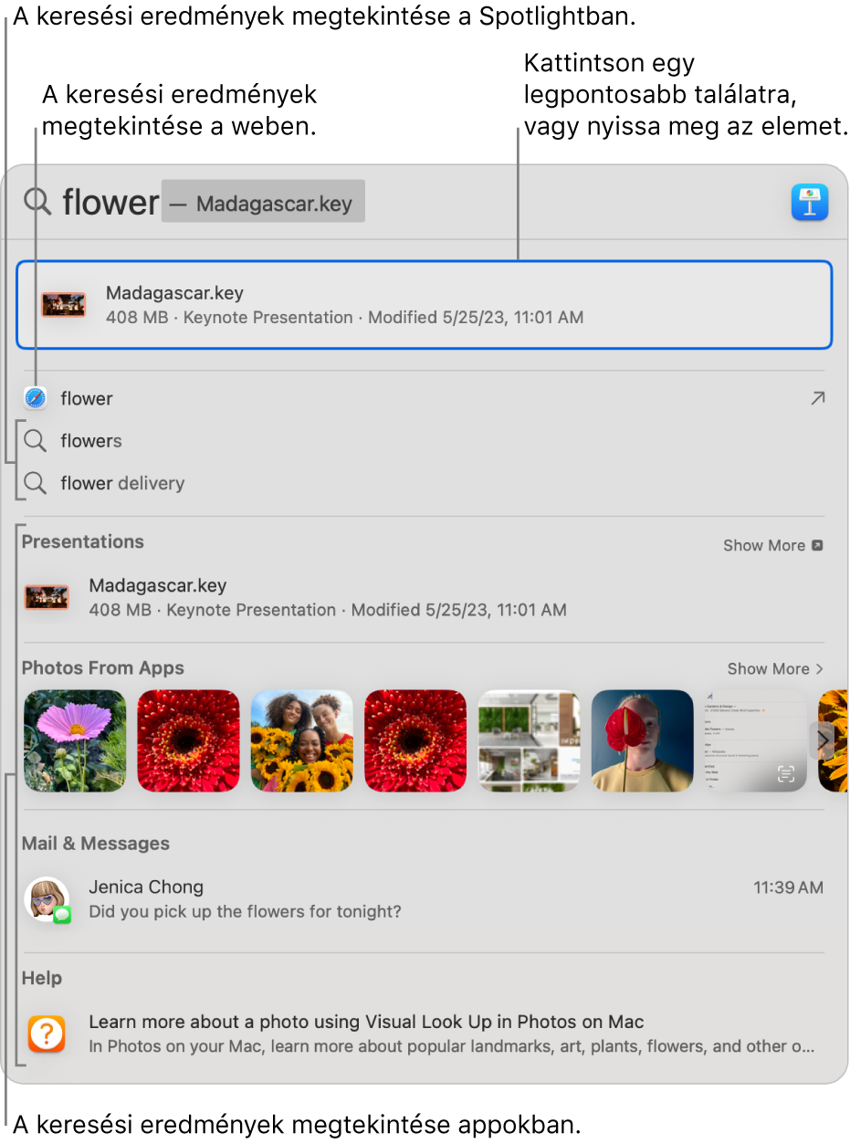 A Spotlight ablakában, az ablak tetején a keresett szöveg látható a keresőmezőben, és alatta a találatok.