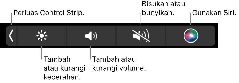 Control Strip yang diciutkan meliputi tombol—dari kiri ke kanan—untuk memperluas Control Strip, menambah dan mengurangi kecerahan layar dan volume, membisukan atau membunyikan, dan menggunakan Siri.