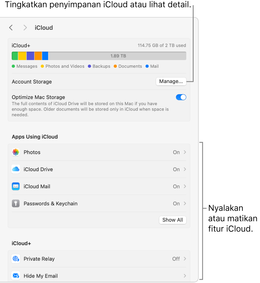 Pengaturan iCloud dengan semua fitur yang dinyalakan.