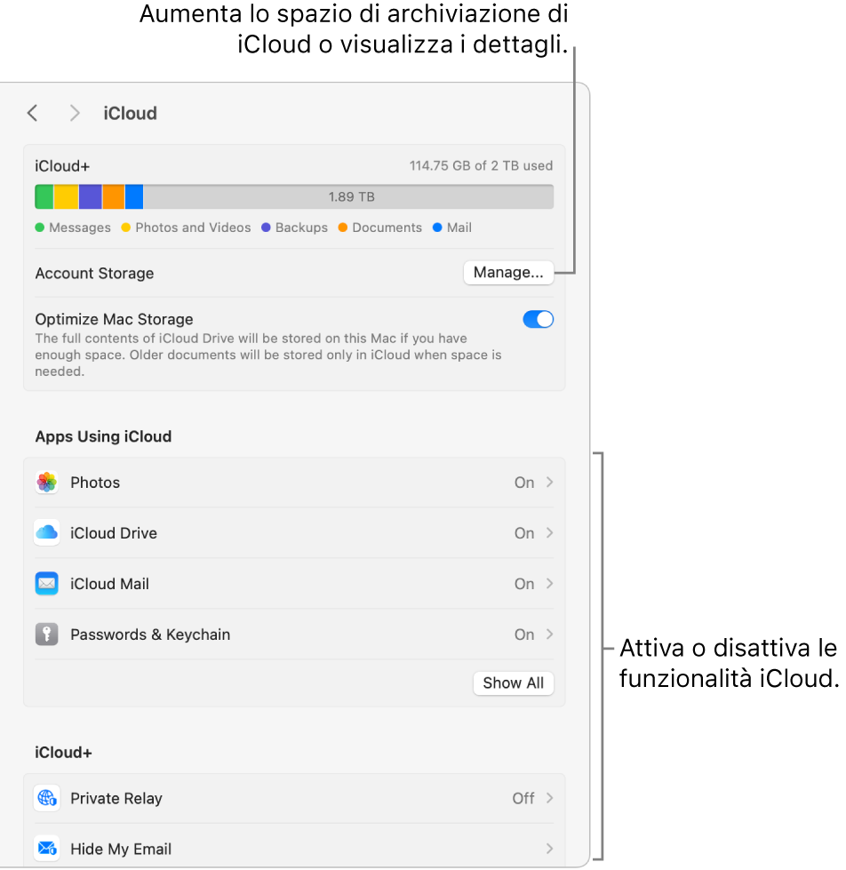 Le impostazioni di iCloud con tutte le funzionalità attive.