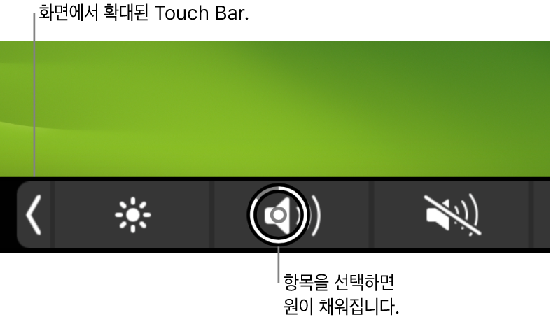 화면 하단의 확대된 Touch Bar 버튼을 선택하면 버튼 위의 원이 채워짐.