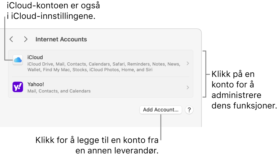 Internettkontoer-innstillingene som viser kontoer som er konfigurert på Macen.
