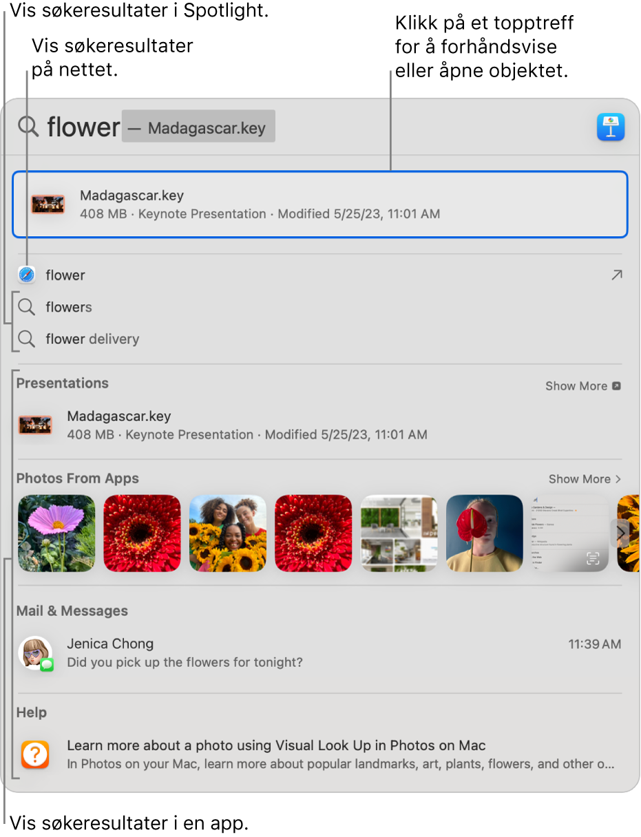 Spotlight-vinduet viser søketekst i søkefeltet øverst i vinduet, og resultater under.