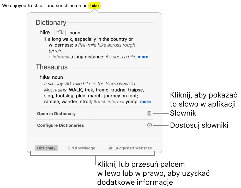 Okno definicji, zawierające definicję słowa ze słownika oraz tezaurusa.