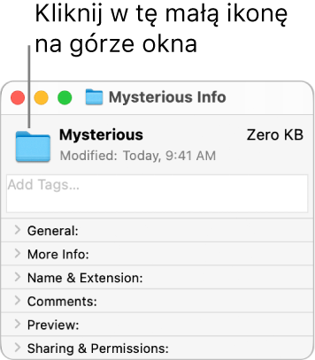 Okno informacji o drugim folderze, zawierające zaznaczoną standardową ikonę.