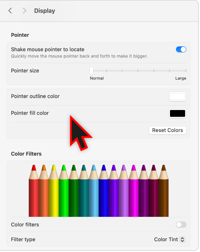 Ajustes de Exibição em Acessibilidade mostrando um cursor grande com uma cor de contorno personalizada.