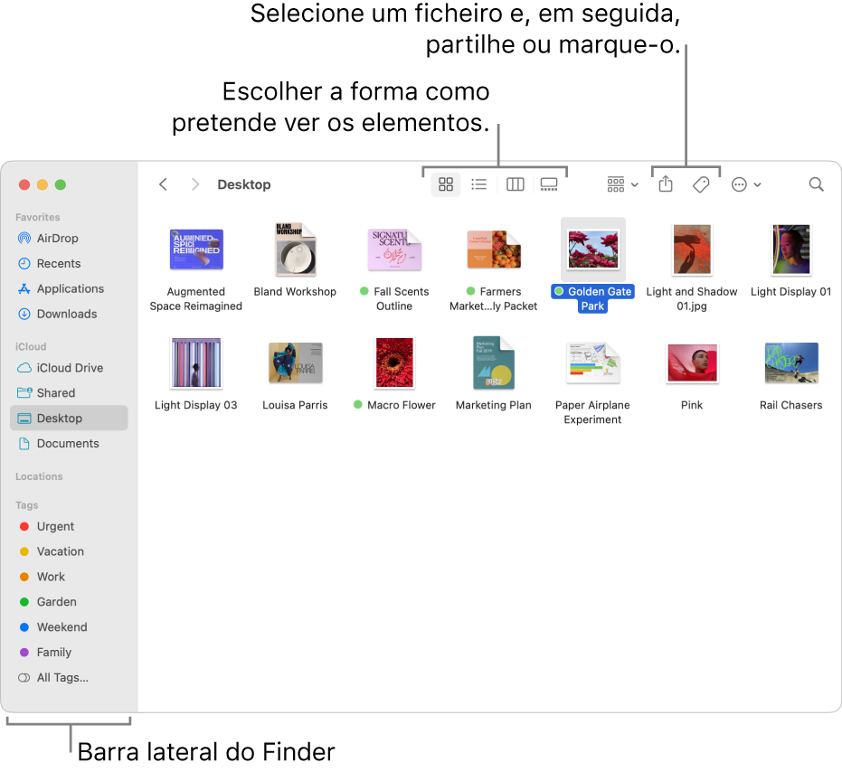 Uma janela do Finder com a barra lateral do Finder à esquerda. No parte superior da janela encontram-se quatro botões que mudam a forma como os elementos são apresentados na janela e botões adicionais para organizar e partilhar elementos.