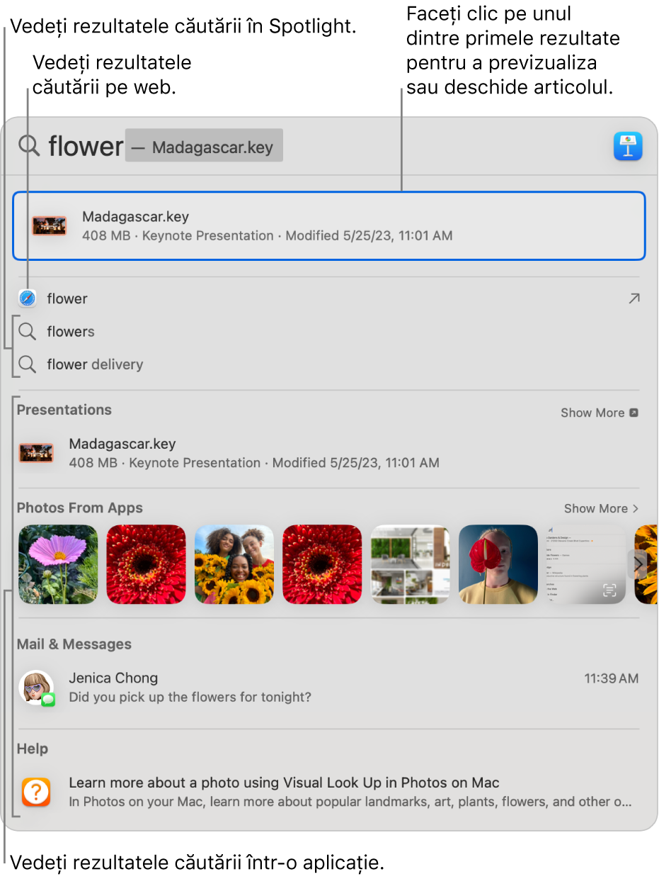 Fereastra Spotlight afișând textul căutării în câmpul de căutare din partea de sus a ferestrei și rezultatele dedesubt.
