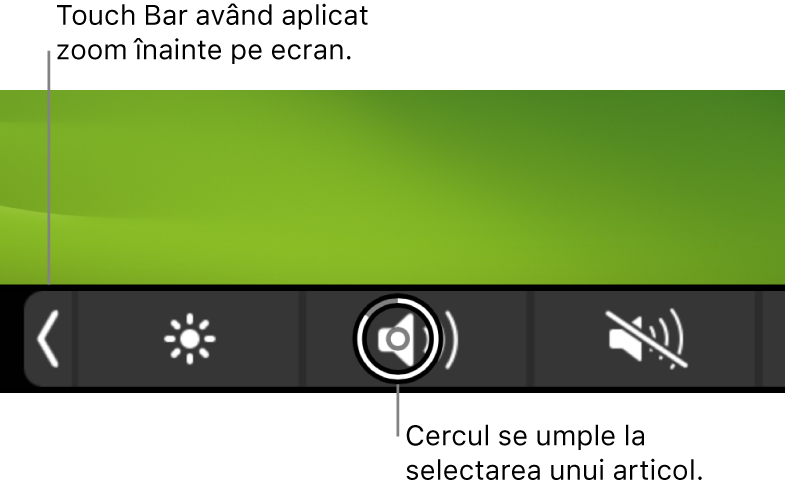 Bara Touch Bar având zoom înainte aplicat, de‑a lungul părții de jos a ecranului; cercul din jurul unui buton se umple la selectarea butonului.