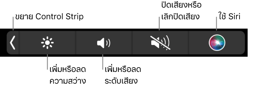 Control Strip ที่ยุบอยู่จะมีปุ่มต่างๆ เรียงจากซ้ายไปขวาดังนี้ ปุ่มสำหรับขยาย Control Strip, ปุ่มสำหรับเพิ่มหรือลดความสว่างจอภาพและระดับเสียง, ปุ่มสำหรับปิดเสียงหรือเลิกปิดเสียง และปุ่มใช้ Siri