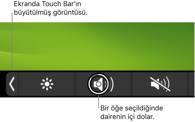 Ekranın alt tarafında büyütülmüş Touch Bar; düğme seçildiğinde düğmenin üzerinde dolu daire görünür.