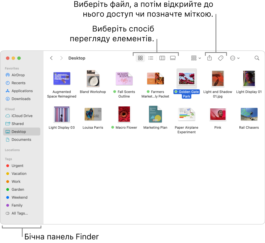 Вікно Finder з бічною панеллю Finder ліворуч. Вгорі вікна розміщені чотири кнопки, за допомогою яких можна змінювати вигляд елементів у вікні, а також додаткові кнопки для впорядкування й поширення елементів.