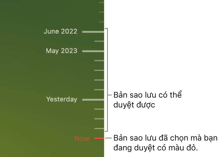 Dấu biểu thị trong dòng thời gian sao lưu. Dấu biểu thị màu đỏ biểu thị bản sao lưu bạn đang duyệt.