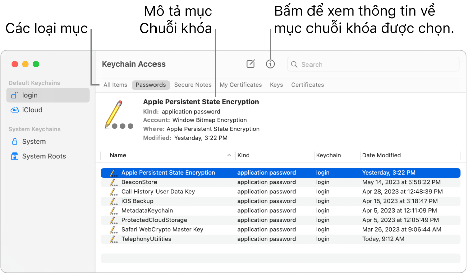 Cửa sổ Truy cập chuỗi khóa đang hiển thị các chuỗi khóa trong thanh bên. Một mô tả về mật khẩu chuỗi khóa đăng nhập đã chọn được hiển thị ở bên phải.