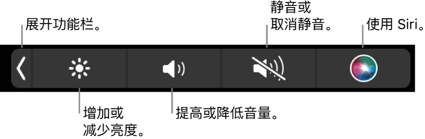 折叠的功能栏包括的按钮从左到右依次为：展开功能栏、增加或减少显示器亮度和音量、静音或取消静音、以及使用 Siri。