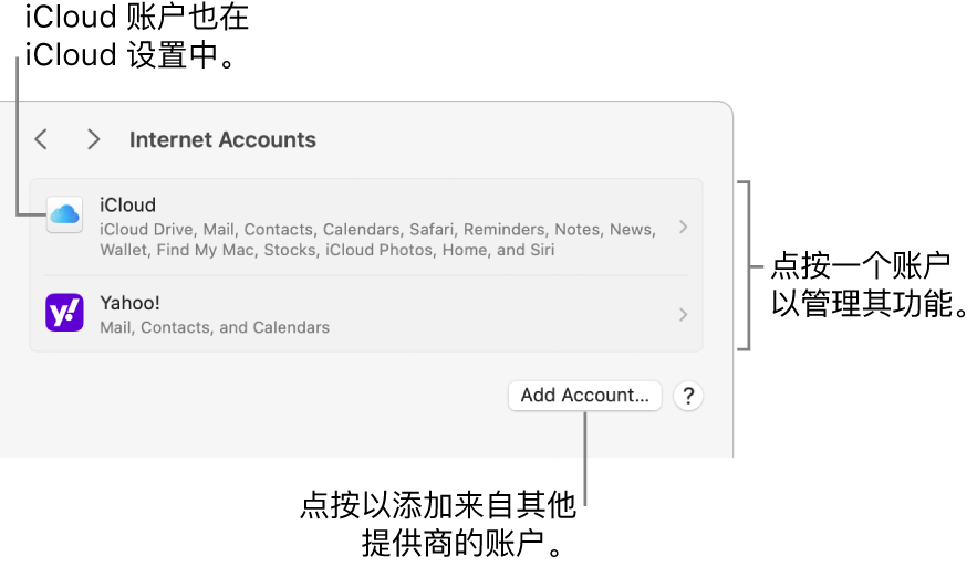“互联网账户”设置，其中列出了在 Mac 上设置的账户。