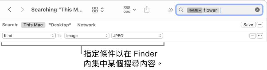 Finder 視窗，含有指定搜尋規則的欄位。
