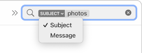 A search filter whose down arrow was clicked to show two options: Subject and Entire Message. Subject is selected.