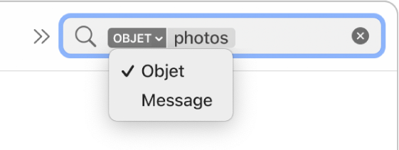 Un filtre de recherche dont on a cliqué sur la flèche vers le bas pour afficher deux options : Objet et Message entier. Objet est sélectionné.