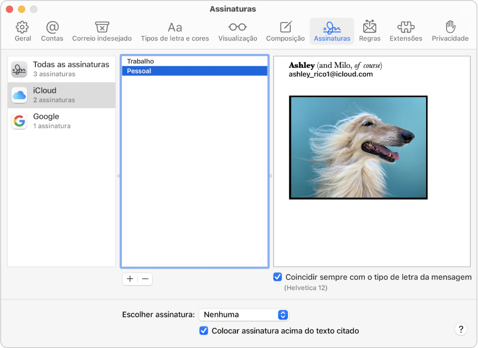 O painel “Assinaturas” das definições do Mail a mostrar uma assinatura com texto formatado e uma imagem.