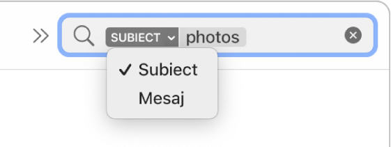 S-a făcut clic pe săgeata jos a unui filtru de căutare pentru a afișa două opțiuni: Subiect și Tot mesajul. Opțiunea Subiect este selectată.