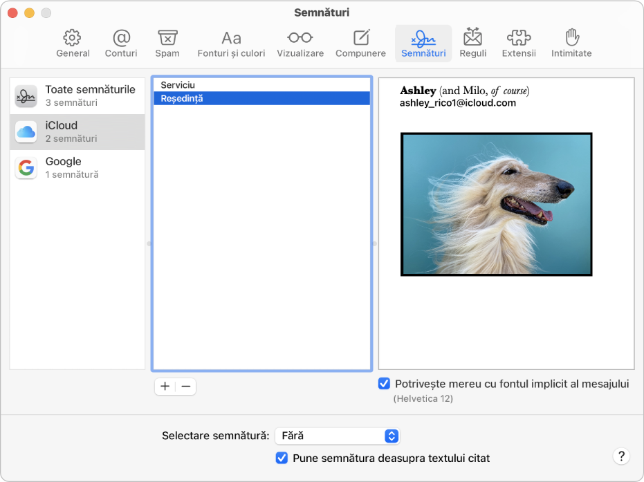 Panoul de configurări Semnături din Mail afișând o semnătură care conține text formatat și o imagine.
