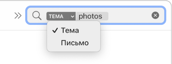 Для фильтра поиска, на котором нажата стрелка вниз, отображаются два варианта: «Тема» и «Все сообщение». Пользователь выбирает вариант «Тема».