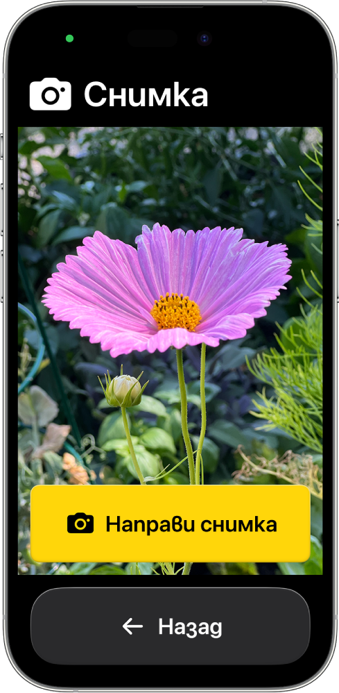 iPhone в Достъп с помощ, който показва отворено приложението Камера и големи бутони за правене на снимка и връщане назад към предходен екран.