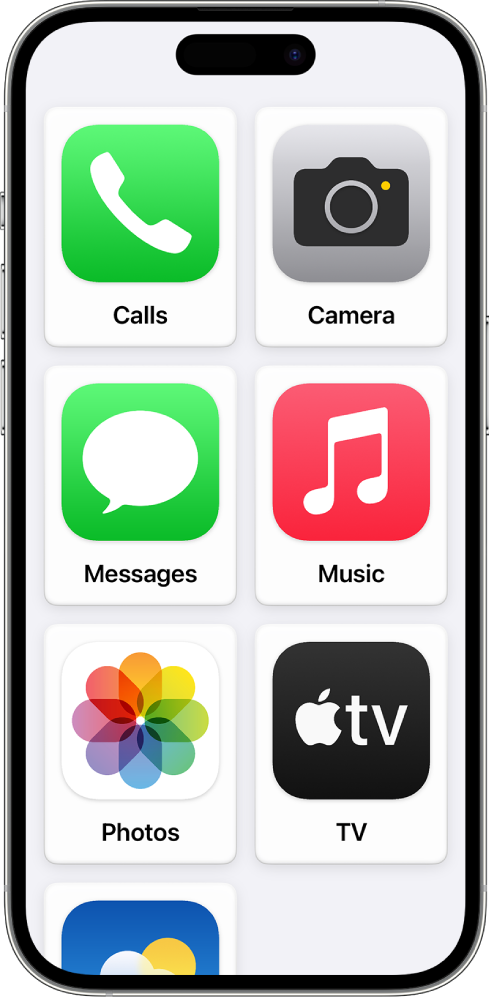 An iPhone showing the Assistive Access Home Screen with a large grid of app icons and their names.