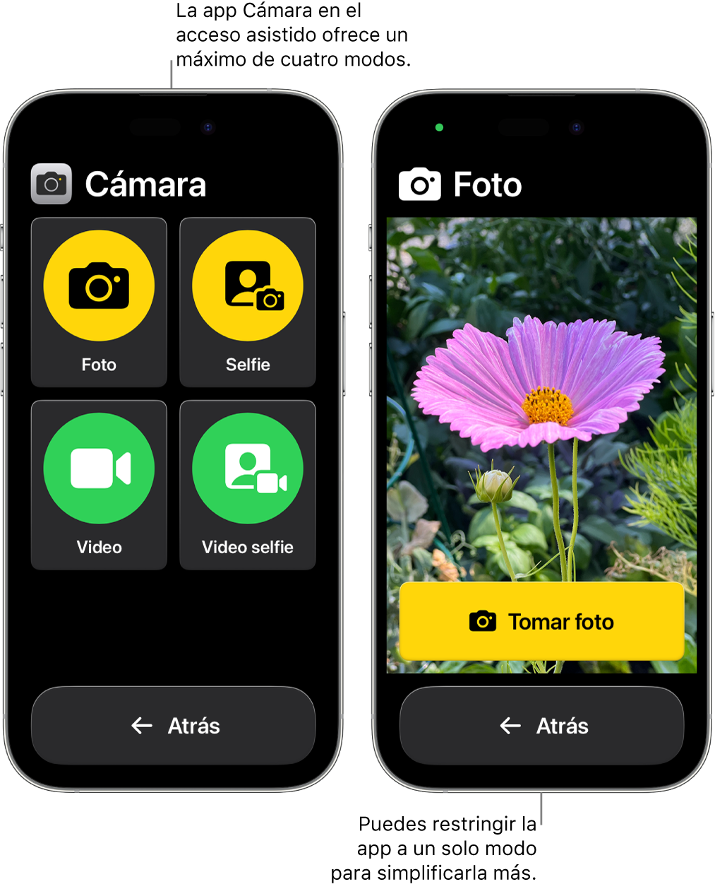 Dos iPhone en el modo de acceso asistido. Un iPhone muestra la app Cámara con los modos de cámara que el usuario puede elegir, como Video y Selfie. El otro iPhone muestra la app Cámara con un solo modo para tomar fotos.