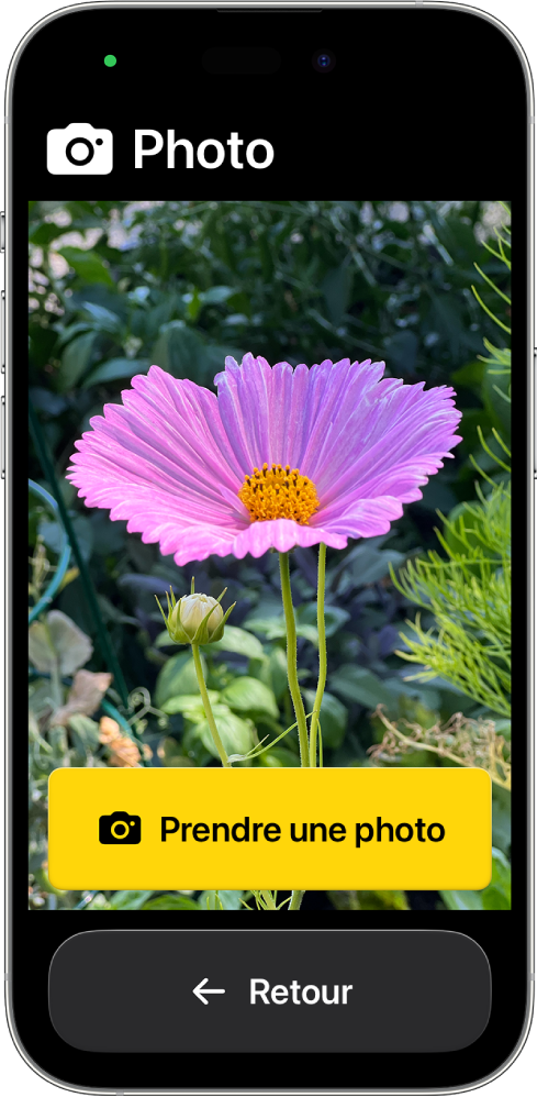 Un iPhone dans Accès d’aide présentant l’app Appareil photo ouverte et de gros boutons permettant de prendre des photos et de revenir à l’écran précédent.