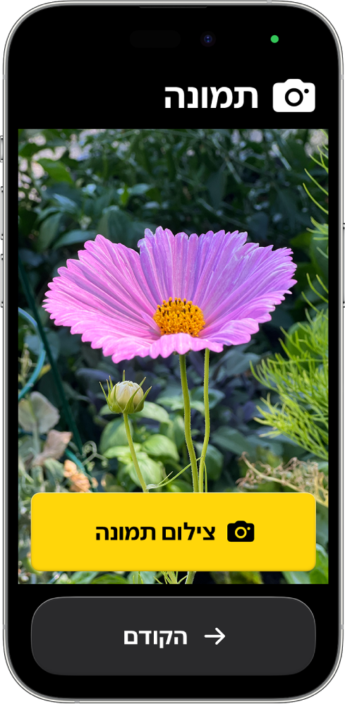 מכשיר iPhone ב״גישה מסייעת״ מציג את היישום ״מצלמה״ עם כפתור אחד גדול לצילום וכפתור גדול נוסף לחזרה למסך הקודם.
