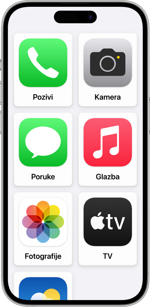 iPhone koji prikazuje početni zaslon Pomoćnog pristupa s velikom rešetkom ikona aplikacija i njihovim nazivima.