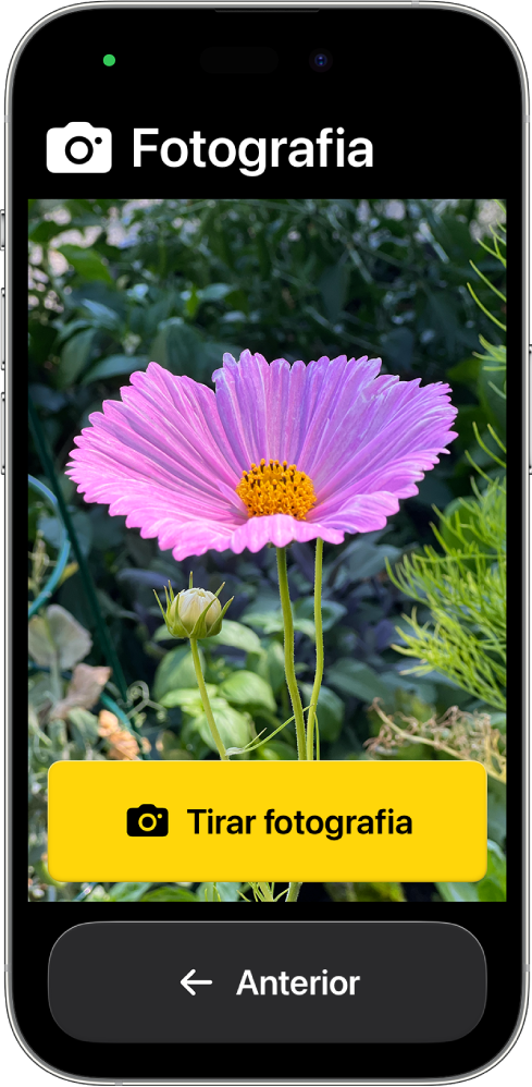 Um iPhone no Acesso assistido mostra a aplicação Câmara aberta e botões grandes para tirar uma fotografia e para voltar ao ecrã anterior.