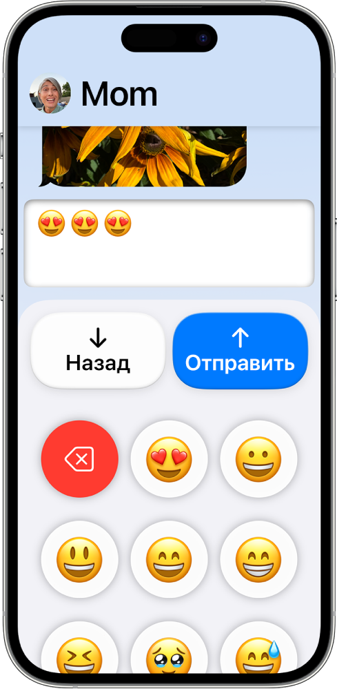 На iPhone в режиме Упрощенного доступа открыто приложение «Сообщения». Показана отправка сообщения, набранного на клавиатуре с эмодзи.