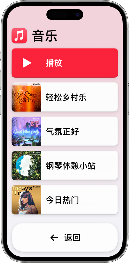 处于辅助访问模式的 iPhone 打开了“音乐” App。屏幕顶部是“播放”按钮，底部是“返回”按钮。屏幕中间填充了多个播放列表组成的列表。