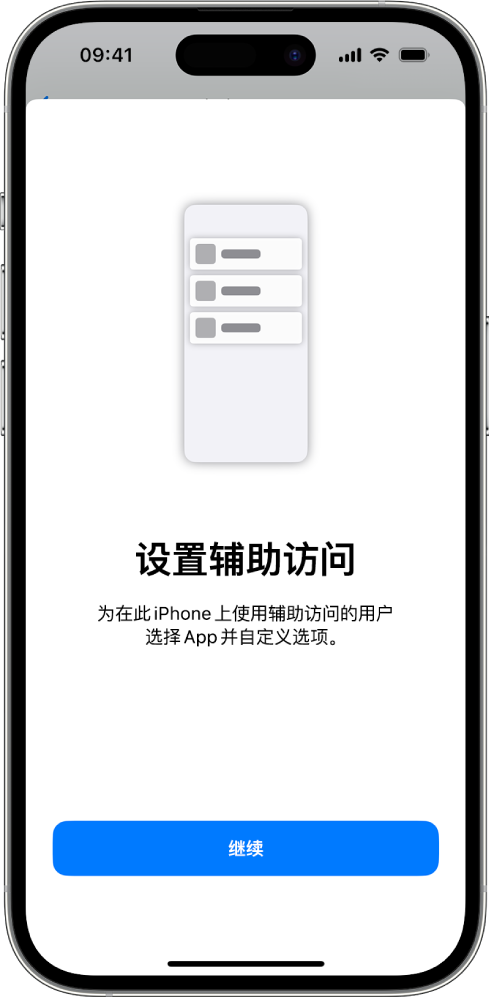 iPhone 显示辅助访问设置屏幕，底部为“继续”按钮。
