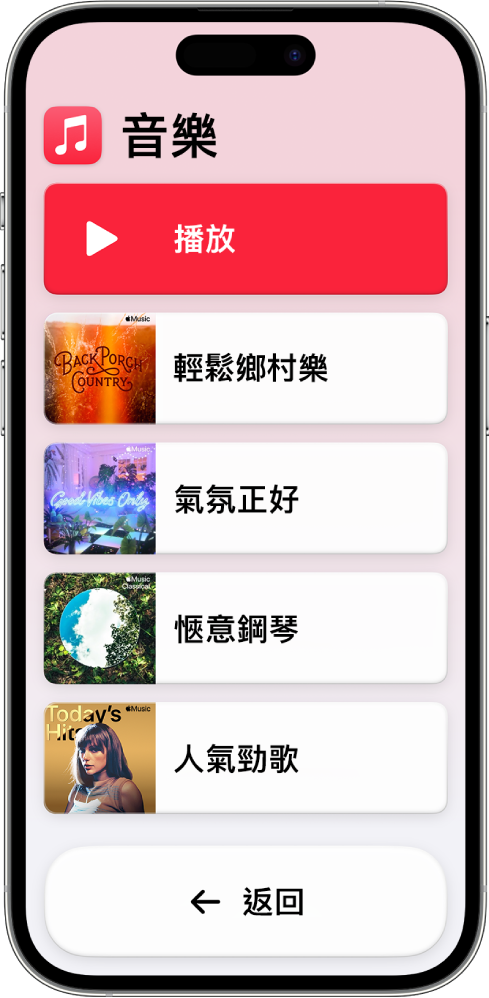 處於「輔助取用」的 iPhone 已開啟「音樂」App。「播放」按鈕位於畫面最上方，而「返回」按鈕則位於底部。播放列表的列表佔滿畫面的中間。