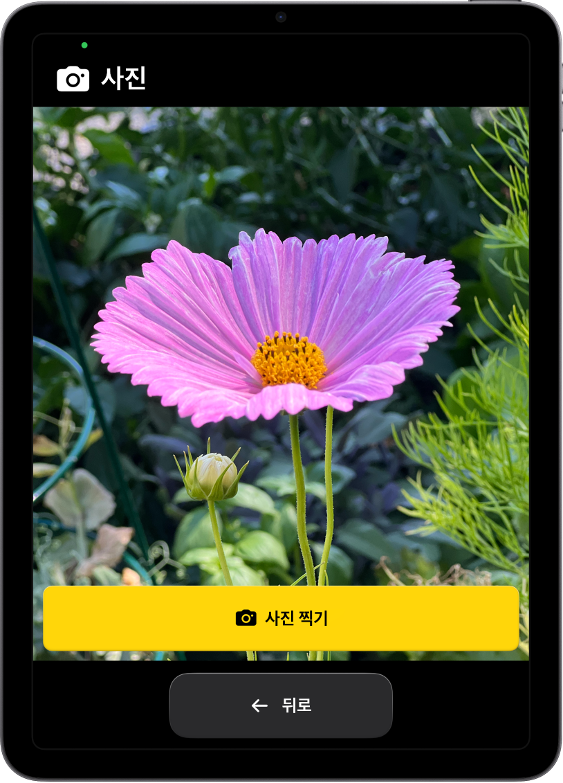보조 접근을 사용 중인 iPad에 카메라 앱이 열려 있고 사진을 찍기 위한 버튼과 이전 화면으로 돌아가기 위한 버튼이 표시되어 있음.