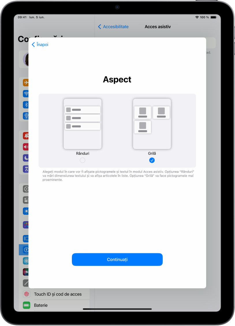 Un iPad în curs de configurare pentru modul Acces asistiv, cu opțiuni pentru afișarea conținutului în liste ușor de citit sau într‑o grilă mare, care accentuează imaginile și pictogramele.