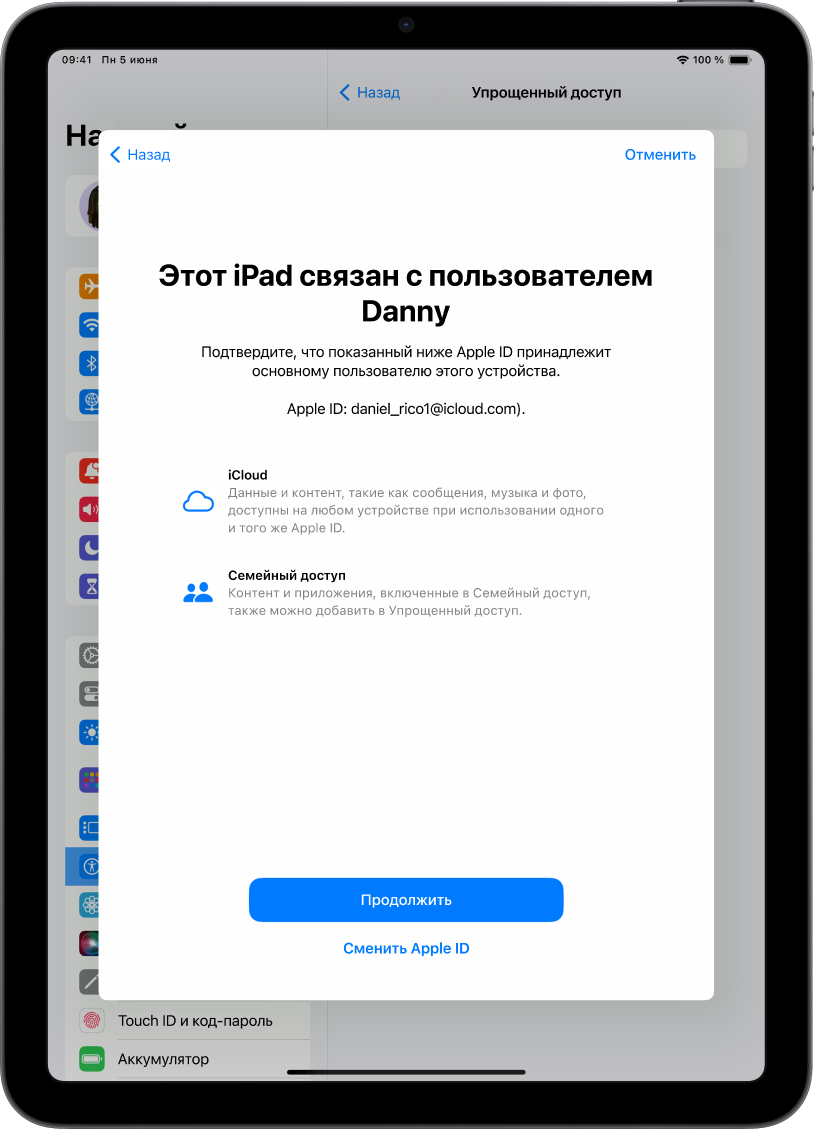 На iPad отображается связанный с устройством Apple ID, а также информация о функциях iCloud и «Семейный доступ», которые можно использовать в режиме Упрощенного доступа.