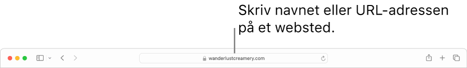 Det smarte søgefelt i Safari, hvor du kan skrive et websteds navn eller URL-adresse.