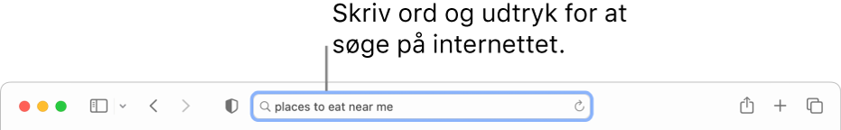 Det smarte søgefelt i Safari, hvor du kan skrive ord og sætninger for at søge på internettet.