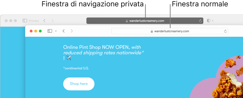 Una finestra privata di Safari con il campo di ricerca smart scuro e una finestra normale di Safari con il campo di ricerca smart chiaro.