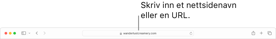 Det smarte søkefeltet i Safari, der du kan skrive inn nettstedets navn eller URL.